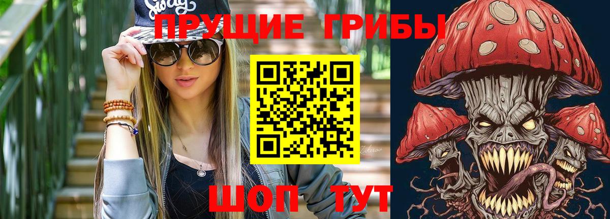 Галлюциногенные грибы GOLDEN TEACHER  Вход с VPN  Губкин  Псилоцибиновые грибы прущие грибы 
